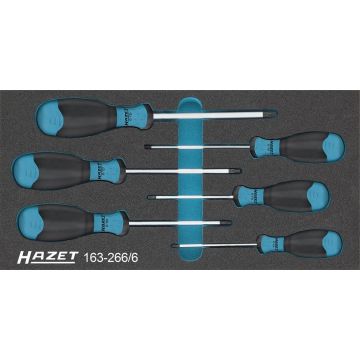 Hazet 163-266/6 Verktøysett 810 Torx Tre.1/3Ms